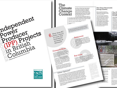 Report: Independent Power Projects environment non profit print design report