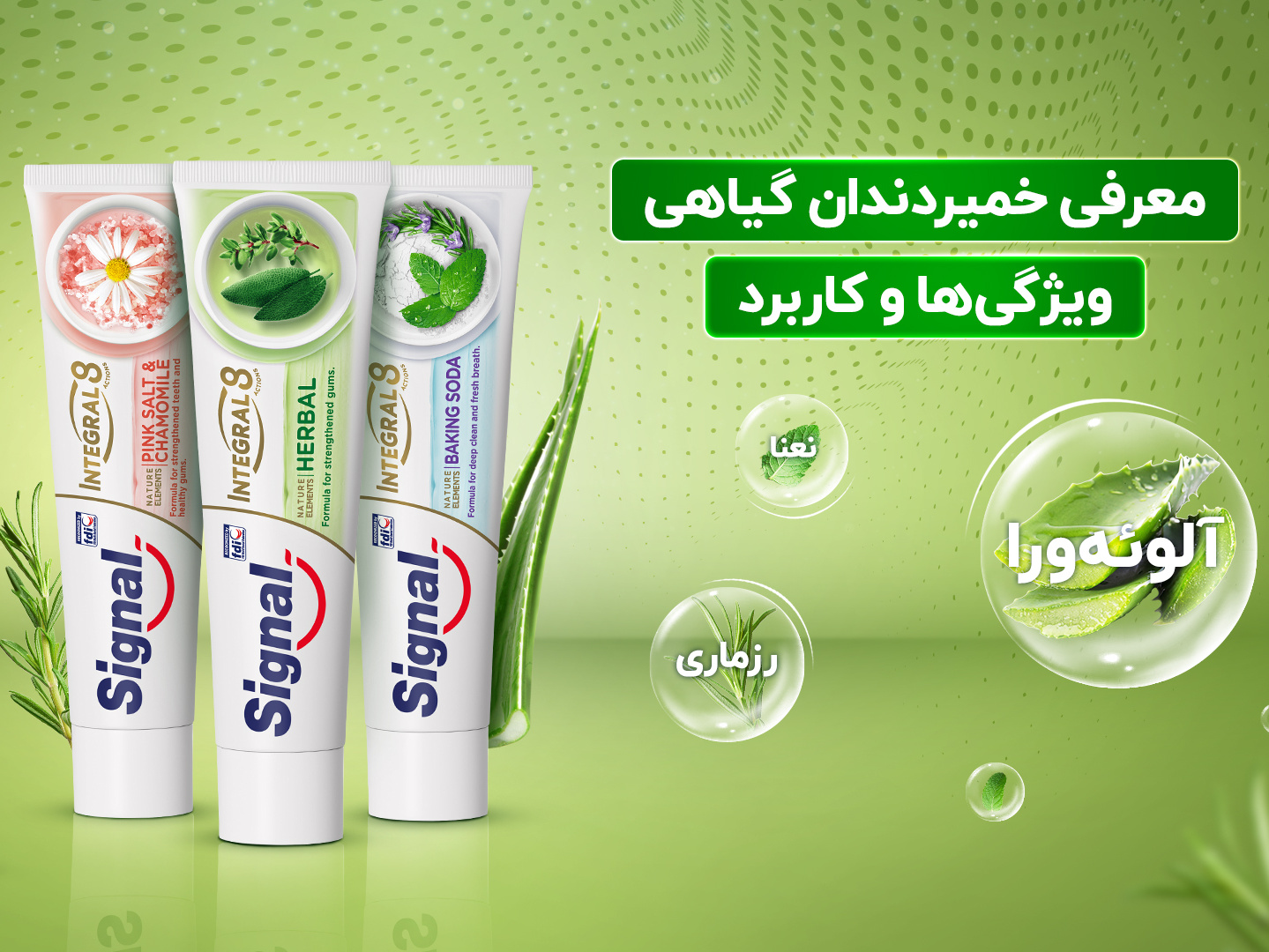 Toothpaste Banner Design by Ali on Dribbble