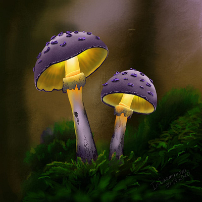 Mushrooms cg art draw ipad mushrooms painting