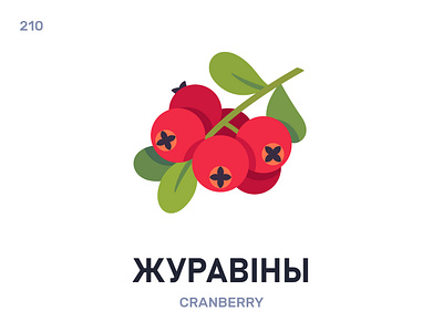 Журавíны / Cranberry belarus belarusian language daily flat icon illustration vector