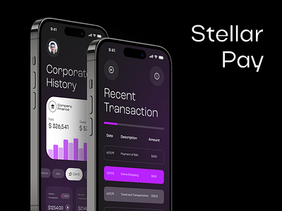 Stellar Pay Mobile App cyberpunkvibes uxresearch.