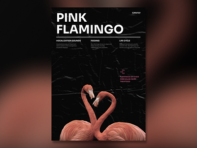 Pink Flamingo | Swiss Typography air banner black branding classic clean contrast design graphic design poster startup swiss ui