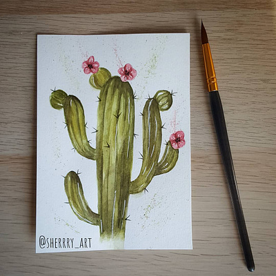 Cactus with Pink Flowers design graphic design illustration watercolor