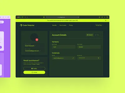 Account dashboard for AI code detection 2d account dashborad ai ai code ai text detector code dashboard saas ui user dashboard web design