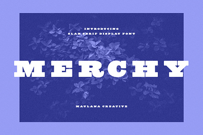 Merchy Slab Serif Display Font animation branding design font fonts graphic design illustration logo nostalgic