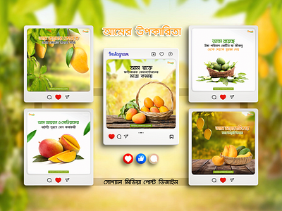 Social Media Design -Organic Food Company facebook banner design facebook post design graphic design insatagram product banner design instagram product post design mango post design mango social media design organic food post design social media design