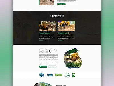 Minimal Web Design branding design illustration logo professional website design ui ux web design web designs website website design