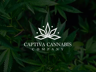 Captiva Cannabis logo abstract logo branding graphic design logo logo design luxury logo minimal logo
