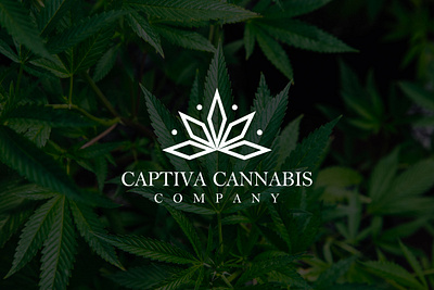Captiva Cannabis logo abstract logo branding graphic design logo logo design luxury logo minimal logo