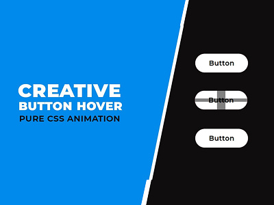 Captivating CSS Button Hover Animation animation css css button hover css buttons css3 divinectorweb frontend html html5