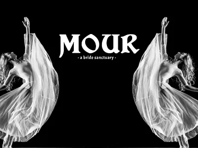 PITCH PRESENTATION FOR A BRAND PROPOSAL branding design logo typography ui ux webdesign