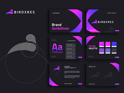 Birdxres Logo Full Brand Guides app icon birdxres brand brand identity branding compnay design flat golden ratio graphic design guids icon logo ui