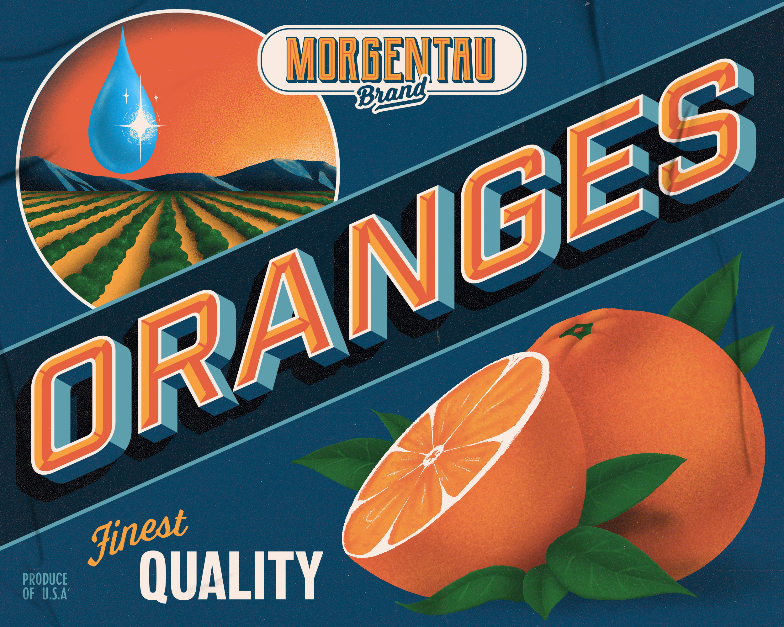 Morgentau Oranges branding design fruit crate fruit label graphic design illustration oranges packaging poster retro vintage
