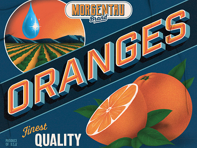 Morgentau Oranges branding design fruit crate fruit label graphic design illustration oranges packaging poster retro vintage