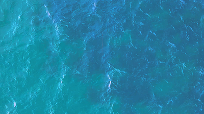 LOFI DYNASTY RECORDS OCEAN LOGO 3d animation branding logo motion graphics ocean text animator travel typography