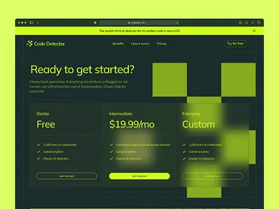 Plan Page For AI Code Detection ai ai text detector card design minimalistic mobile design page plan page saas sans serif ui ux web design