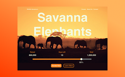 Savanna Elephants Crowd Funding 🐘 africa animals branding charity colour crowd funding elephants good will graphic design motion design savanna ui ux web design