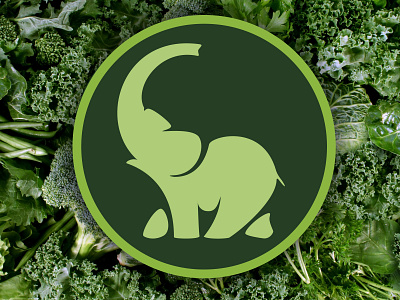 Green Elephant Juicery