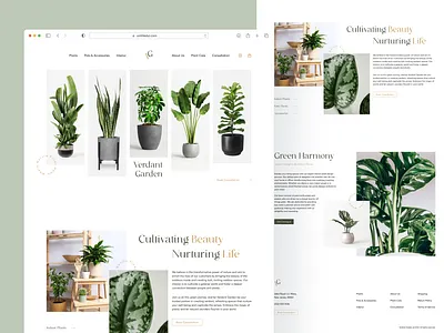 Verdant Garden online plant store design ecommerce flower green interior landingpage minimal minimalistic online store onlinestore plant plant care plant shop ui web design webstore