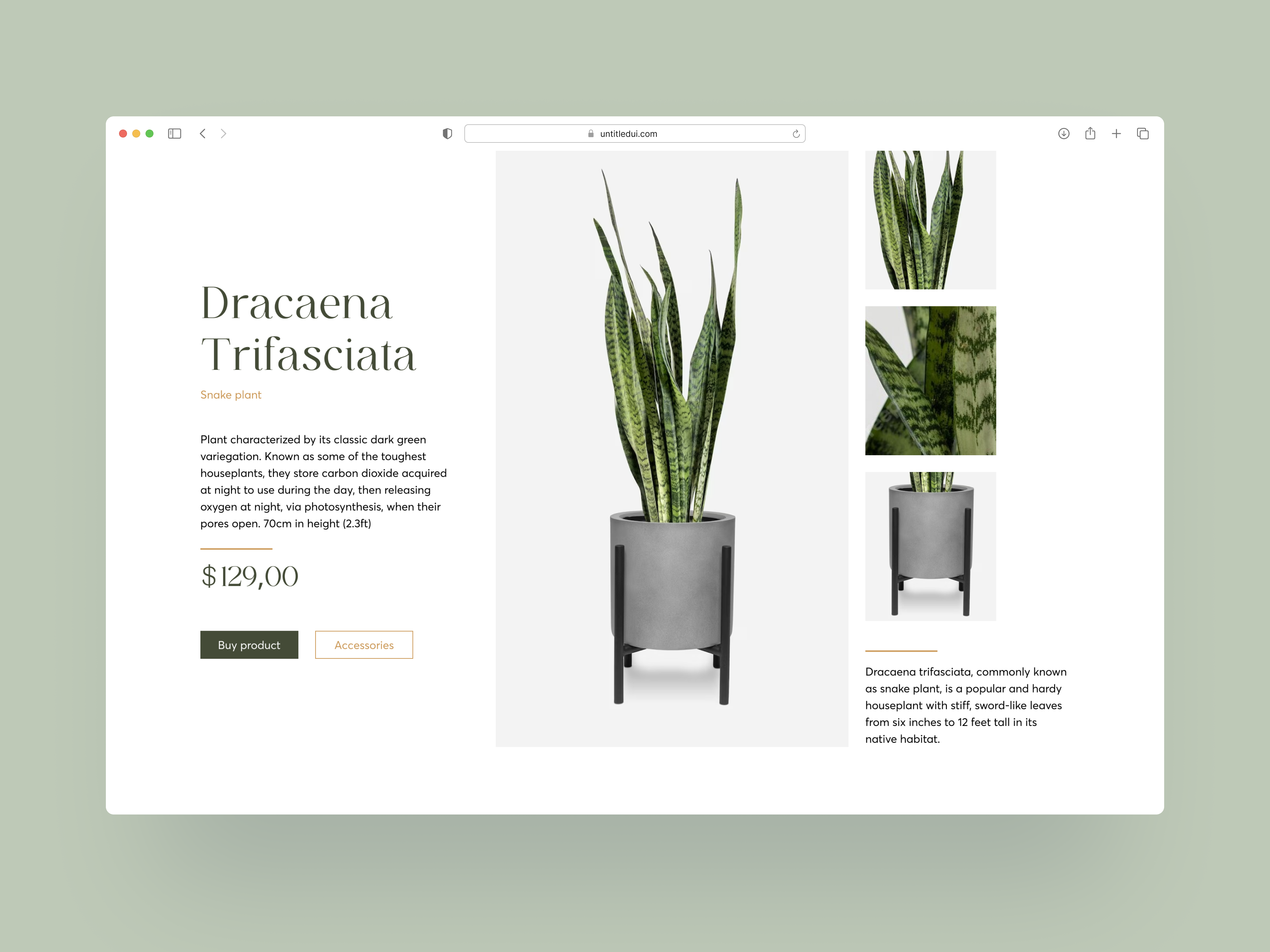 Product page Verdant Garden design ecommerce garden gardenning green landingpage nature plant plant care product product page store ui ux web design website