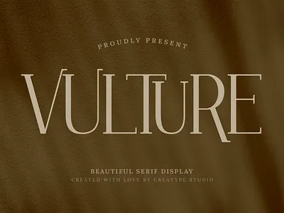 Vulture Beautiful Serif sans
