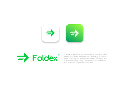 Foldex app app art branding color design graphic design icon illustration logo