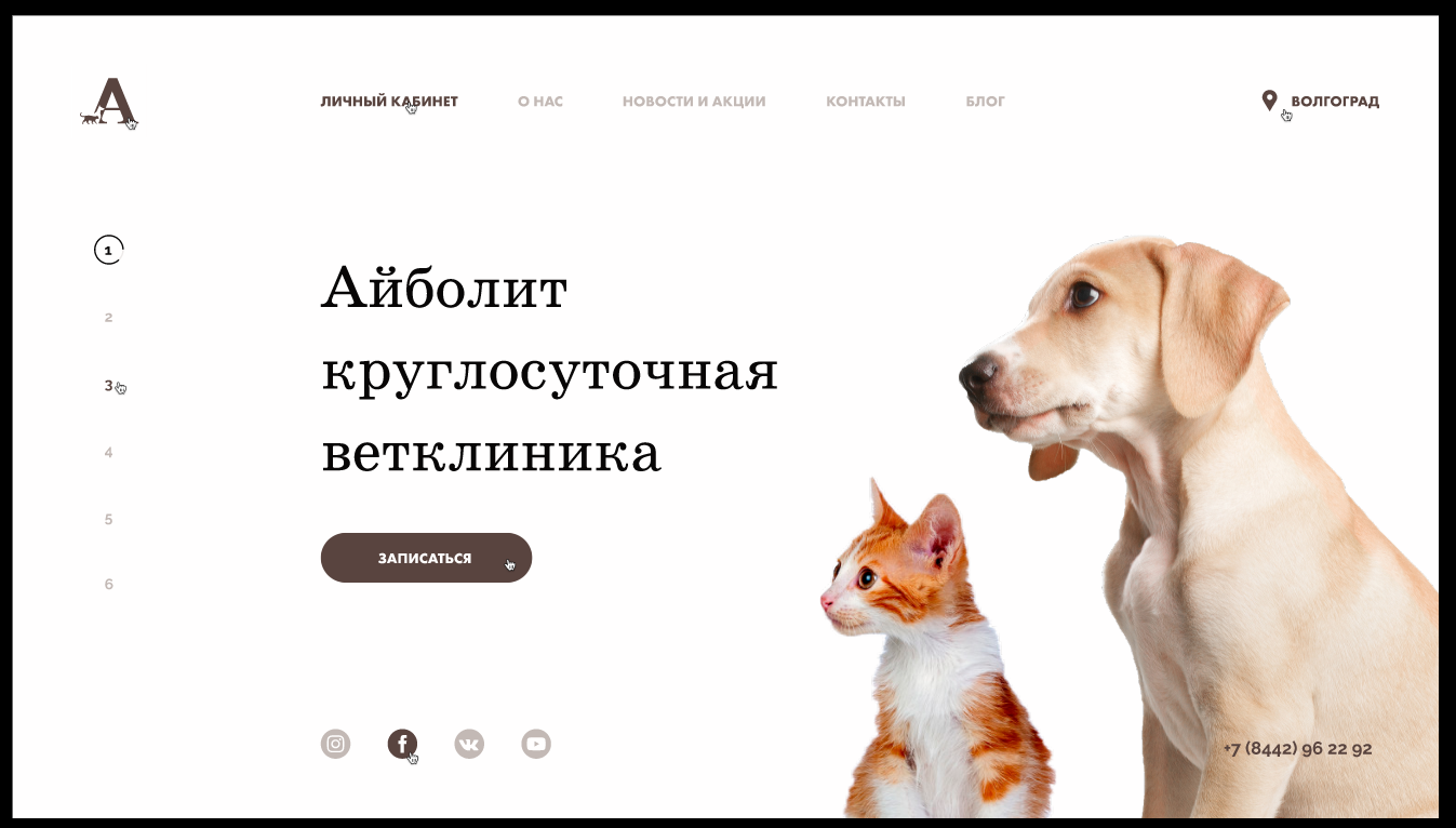 DailyUI Day 001 Entry to the veterinary clinic by Shokan on Dribbble