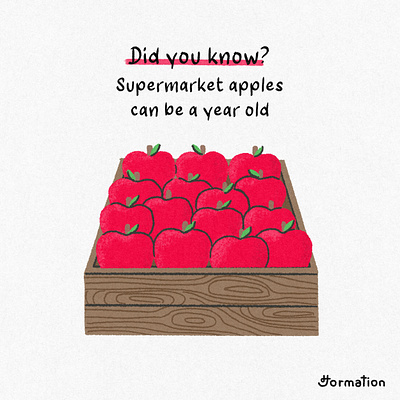 Supermarket apples can be a year old apple apples cartoon did you know digital art digital illustration drawing fact fruit fun fact illustration procreate supermarket