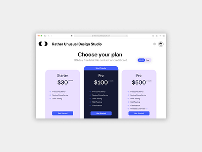 Pricing - Rather Unusual Design Studio app graphic design typography ui ux