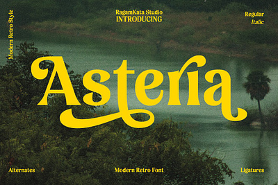 Asteria - Retro Display Font