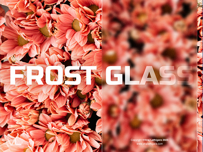 Floral Frost Glass Effect : Figma Designs abstract design advanced graphics design figma frost glass glass effect glass morphism graphic design iris blur photoshop typography ui viraj lathigara