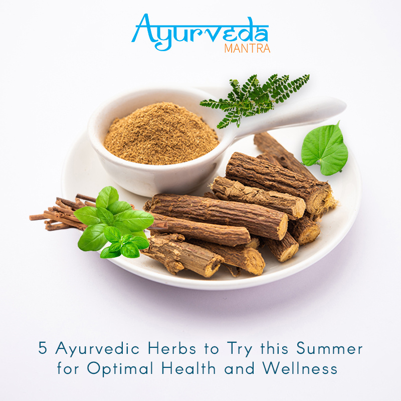 5 Ayurvedic Herbs to Try this Summer for Optimal Health by Ayurveda ...