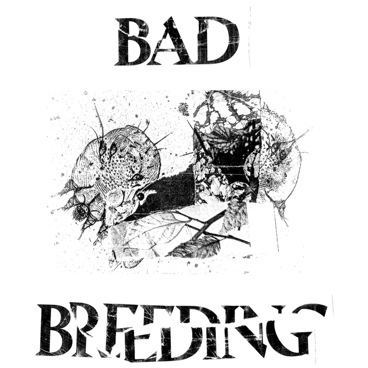 Example of T Shirt Designs