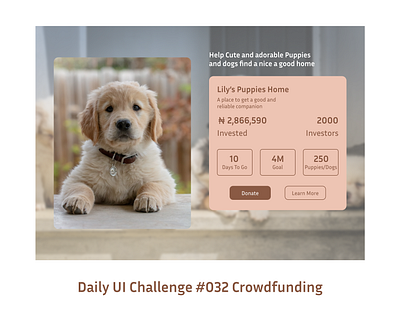 Daily UI Crowdfunding #032 crowdfunding dailyui design ui ui uiux uidesign ux