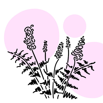Lavender Day Dream branding design graphic design illustration logo vector