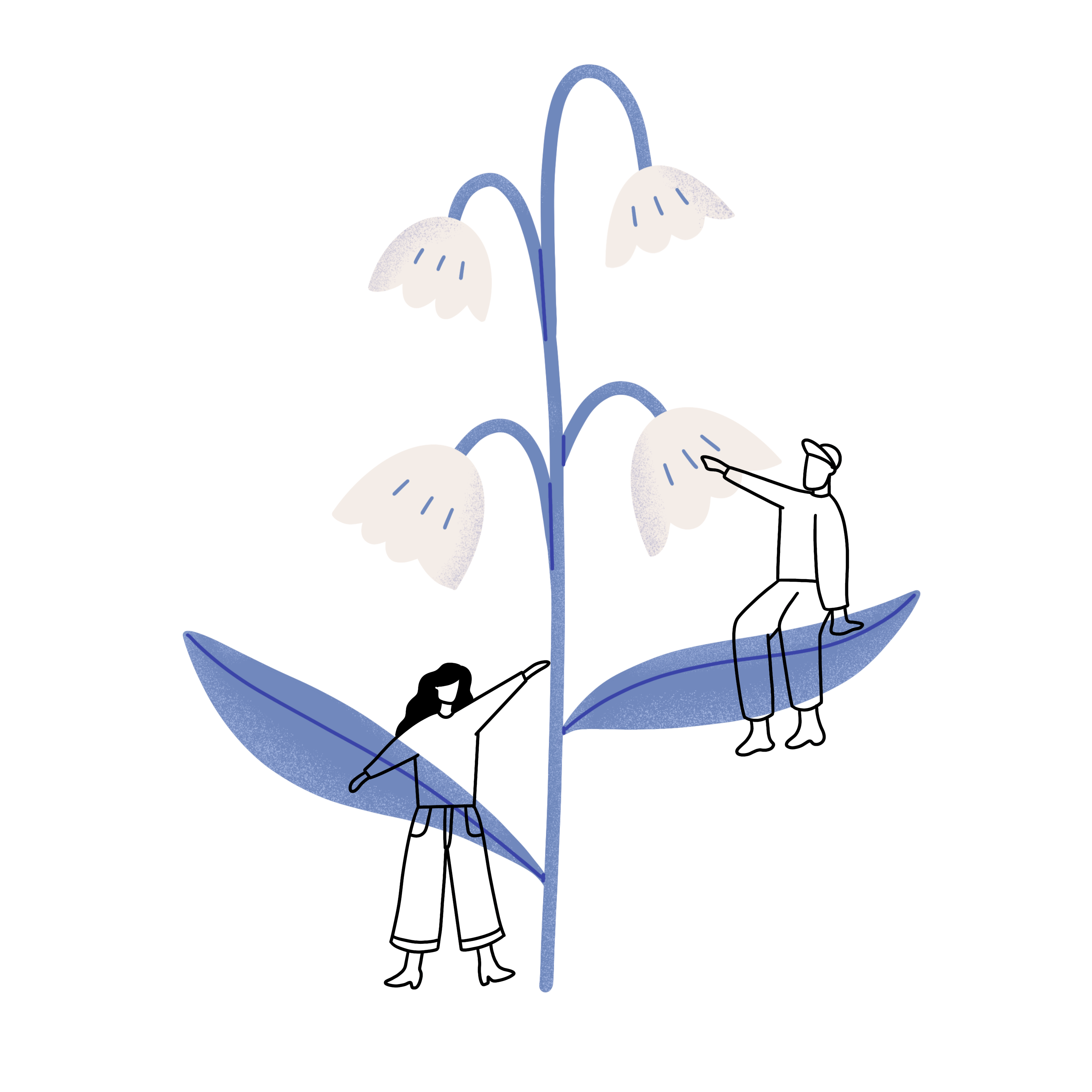 Flower Friends design graphic design illustration texture