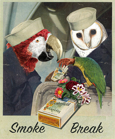 Smoke Break birds collage digital art digital collage illustration owl parrot photoshop vintage
