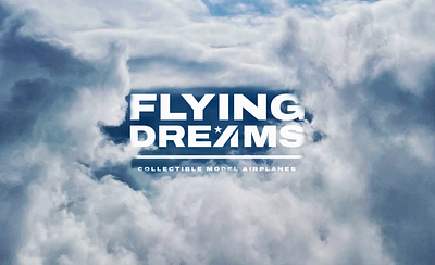 FLYING DREAMS airplane branding design graphic design