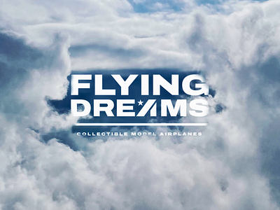 FLYING DREAMS airplane branding design graphic design