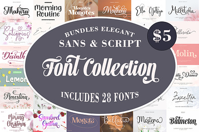 Elegant Sans & Script Font Collection branding bundles fonts calligraphy design graphic design illustration lettering logo sans serif script serif font type typography ui