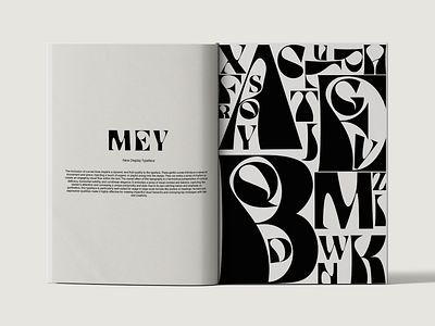 MEY app book branding design designer font graphic design illustration logo mockup new type typography ui writing