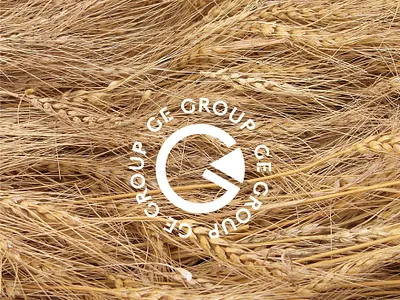 GE BAKE Brand Design: Road From Private Bakery to Chain Store branding design graphic design illustration logo logodesign ui ux vector visualidentity