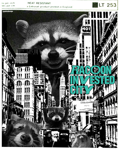 Racoon Poster banner banners creative design graphic design minimal poster posters racoons