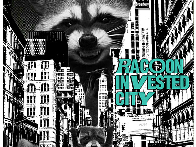 Racoon Poster banner banners creative design graphic design minimal poster posters racoons