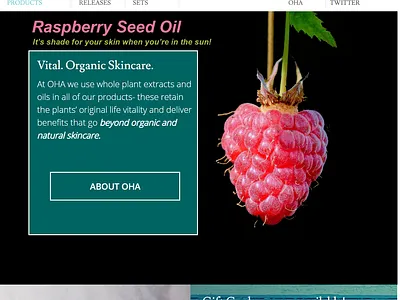 OHA Skincare website - circa 2020 adobe photoshop branding design e commerce ecommerce graphic design illustration ui web design website development woocommerce wordpress