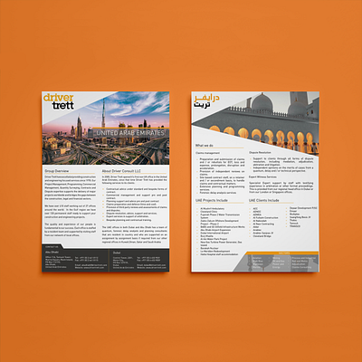 Flyer Design. Brochure. Leaflet brochure design flyer graphic design indesign layout design leaflet photoshop print design typography