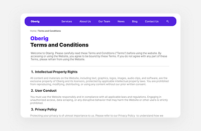 Terms and Conditions 089 89 challenge daily ui 089 dailyui dailyui089 design e commerce foundation mockup org terms terms and conditions terms of service ui uiux website