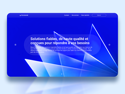 Texaware : landing page design branding design graphic design ui