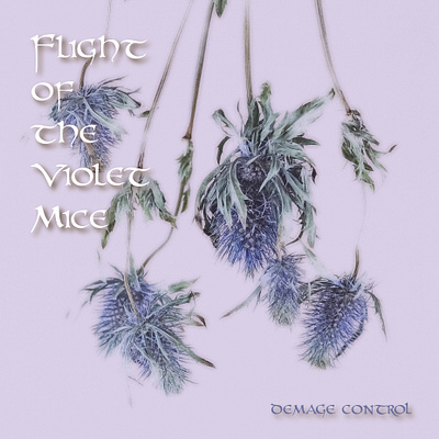 FLIGHT OF THE VIOLET MICE - album art album art album cover branding graphic design music music design