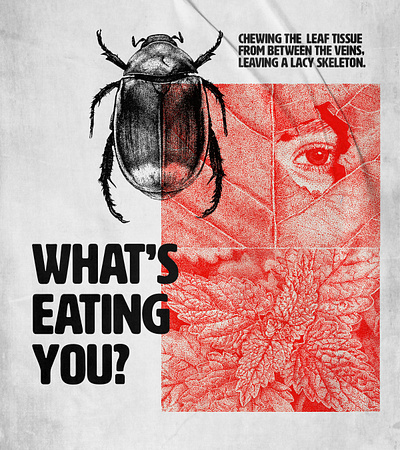 What's Eating You? beetle black branding depression design hand drawn illustration ink drawing layout logo red red ink sean quinn sean quinn studio skeleton tote typography white